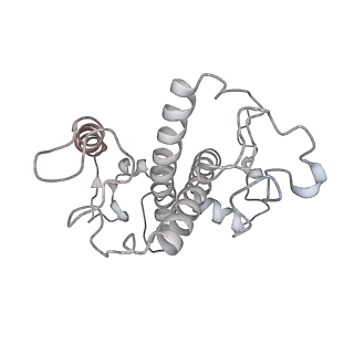 6741_5xnl_3_v2-0
Structure of stacked C2S2M2-type PSII-LHCII supercomplex from Pisum sativum