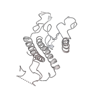 6741_5xnl_4_v2-0
Structure of stacked C2S2M2-type PSII-LHCII supercomplex from Pisum sativum