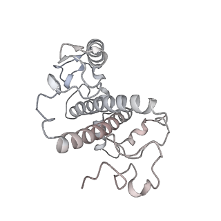 6741_5xnl_5_v1-1
Structure of stacked C2S2M2-type PSII-LHCII supercomplex from Pisum sativum