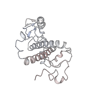 6741_5xnl_5_v2-0
Structure of stacked C2S2M2-type PSII-LHCII supercomplex from Pisum sativum