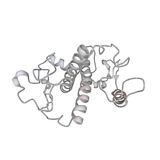 6741_5xnl_7_v2-0
Structure of stacked C2S2M2-type PSII-LHCII supercomplex from Pisum sativum