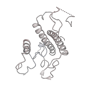 6741_5xnl_8_v1-1
Structure of stacked C2S2M2-type PSII-LHCII supercomplex from Pisum sativum