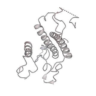 6741_5xnl_8_v2-0
Structure of stacked C2S2M2-type PSII-LHCII supercomplex from Pisum sativum