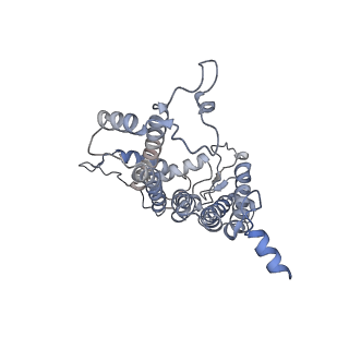 6741_5xnl_A_v2-0
Structure of stacked C2S2M2-type PSII-LHCII supercomplex from Pisum sativum