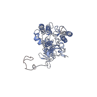 6741_5xnl_B_v2-0
Structure of stacked C2S2M2-type PSII-LHCII supercomplex from Pisum sativum