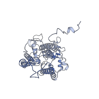 6741_5xnl_C_v2-0
Structure of stacked C2S2M2-type PSII-LHCII supercomplex from Pisum sativum