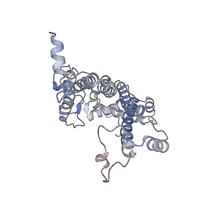 6741_5xnl_D_v2-0
Structure of stacked C2S2M2-type PSII-LHCII supercomplex from Pisum sativum