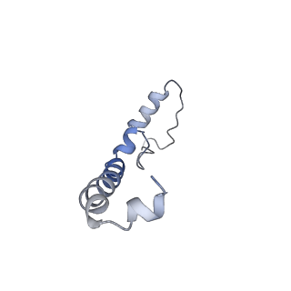 6741_5xnl_E_v2-0
Structure of stacked C2S2M2-type PSII-LHCII supercomplex from Pisum sativum