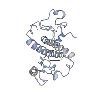 6741_5xnl_G_v2-0
Structure of stacked C2S2M2-type PSII-LHCII supercomplex from Pisum sativum