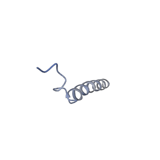 6741_5xnl_I_v2-0
Structure of stacked C2S2M2-type PSII-LHCII supercomplex from Pisum sativum