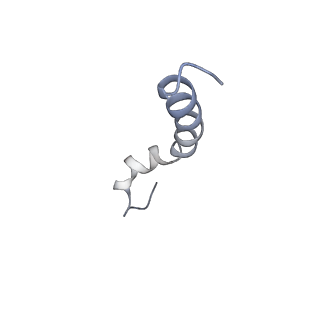 6741_5xnl_K_v2-0
Structure of stacked C2S2M2-type PSII-LHCII supercomplex from Pisum sativum