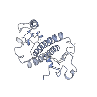 6741_5xnl_N_v2-0
Structure of stacked C2S2M2-type PSII-LHCII supercomplex from Pisum sativum