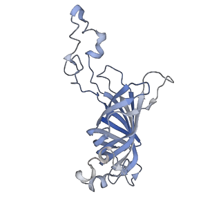 6741_5xnl_O_v2-0
Structure of stacked C2S2M2-type PSII-LHCII supercomplex from Pisum sativum