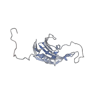 6741_5xnl_P_v2-0
Structure of stacked C2S2M2-type PSII-LHCII supercomplex from Pisum sativum