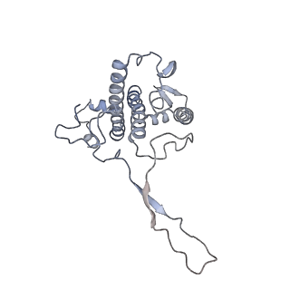 6741_5xnl_R_v2-0
Structure of stacked C2S2M2-type PSII-LHCII supercomplex from Pisum sativum