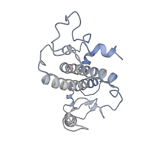 6741_5xnl_S_v2-0
Structure of stacked C2S2M2-type PSII-LHCII supercomplex from Pisum sativum