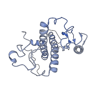 6741_5xnl_Y_v2-0
Structure of stacked C2S2M2-type PSII-LHCII supercomplex from Pisum sativum