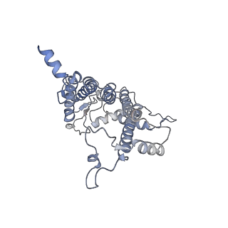 6741_5xnl_a_v2-0
Structure of stacked C2S2M2-type PSII-LHCII supercomplex from Pisum sativum