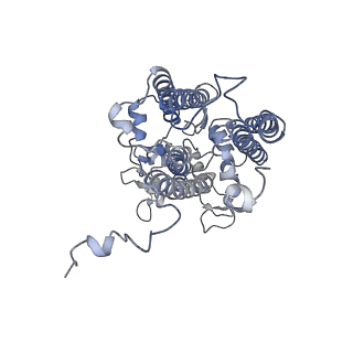 6741_5xnl_c_v2-0
Structure of stacked C2S2M2-type PSII-LHCII supercomplex from Pisum sativum