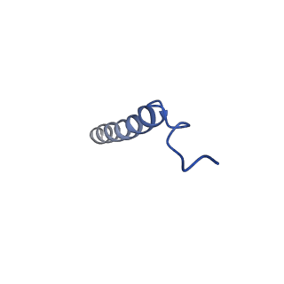 6741_5xnl_i_v2-0
Structure of stacked C2S2M2-type PSII-LHCII supercomplex from Pisum sativum