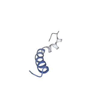 6741_5xnl_k_v2-0
Structure of stacked C2S2M2-type PSII-LHCII supercomplex from Pisum sativum