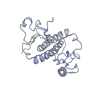 6741_5xnl_n_v2-0
Structure of stacked C2S2M2-type PSII-LHCII supercomplex from Pisum sativum