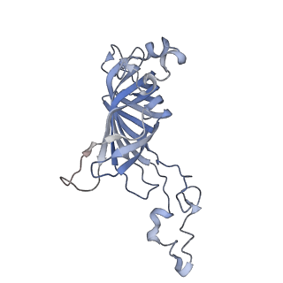 6741_5xnl_o_v2-0
Structure of stacked C2S2M2-type PSII-LHCII supercomplex from Pisum sativum