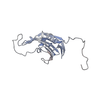 6741_5xnl_p_v2-0
Structure of stacked C2S2M2-type PSII-LHCII supercomplex from Pisum sativum