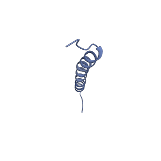 6741_5xnl_x_v2-0
Structure of stacked C2S2M2-type PSII-LHCII supercomplex from Pisum sativum