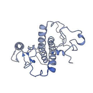 6741_5xnl_y_v2-0
Structure of stacked C2S2M2-type PSII-LHCII supercomplex from Pisum sativum