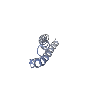 6741_5xnl_z_v2-0
Structure of stacked C2S2M2-type PSII-LHCII supercomplex from Pisum sativum