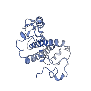 6743_5xnn_1_v2-0
Structure of M-LHCII and CP24 complexes in the stacked C2S2M2-type PSII-LHCII supercomplex from Pisum sativum