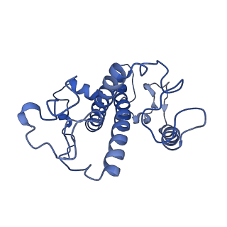 6743_5xnn_3_v2-0
Structure of M-LHCII and CP24 complexes in the stacked C2S2M2-type PSII-LHCII supercomplex from Pisum sativum