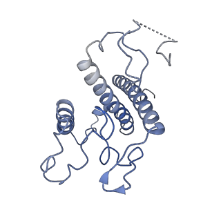 6743_5xnn_4_v2-0
Structure of M-LHCII and CP24 complexes in the stacked C2S2M2-type PSII-LHCII supercomplex from Pisum sativum