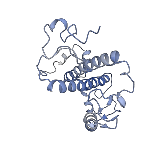 6744_5xno_1_v2-0
Structure of M-LHCII and CP24 complexes in the unstacked C2S2M2-type PSII-LHCII supercomplex from Pisum sativum