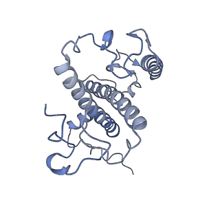 6744_5xno_2_v2-0
Structure of M-LHCII and CP24 complexes in the unstacked C2S2M2-type PSII-LHCII supercomplex from Pisum sativum