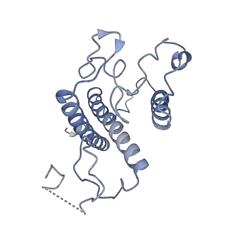 6744_5xno_4_v2-0
Structure of M-LHCII and CP24 complexes in the unstacked C2S2M2-type PSII-LHCII supercomplex from Pisum sativum