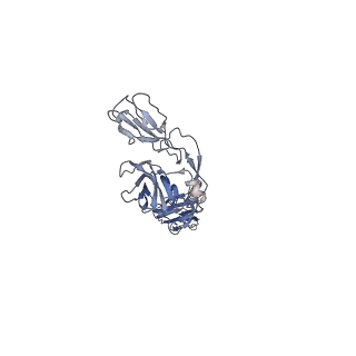22276_6xo4_H_v1-1
CryoEM structure of Eastern Equine Encephalitis (EEEV) VLP