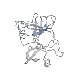 22276_6xo4_L_v1-1
CryoEM structure of Eastern Equine Encephalitis (EEEV) VLP