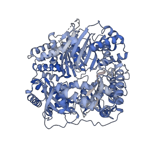 22278_6xos_A_v1-2
CryoEM structure of human presequence protease in partial open state 1