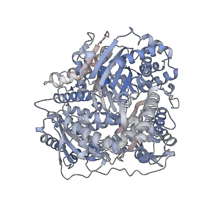 22279_6xot_A_v1-2
CryoEM structure of human presequence protease in partial open state 2