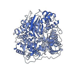 22281_6xov_A_v1-2
CryoEM structure of human presequence protease in partial closed state 1
