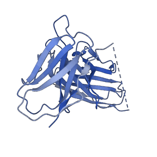22283_6xox_E_v1-2
cryo-EM of human GLP-1R bound to non-peptide agonist LY3502970