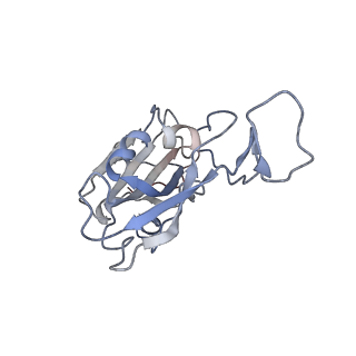 33341_7xo9_A_v1-2
SARS-CoV-2 Omicron BA.2 Variant RBD complexed with human ACE2