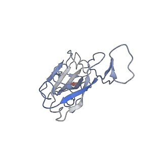 33344_7xoc_A_v1-2
SARS-CoV-2 Omicron BA.2 Variant RBD complexed with mouse ACE2