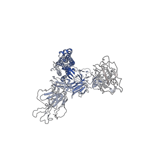 33346_7xoe_A_v1-0
Cryo-EM structure of S glycoprotein encoded by the Covid-19 mRNA vaccine candidate RQ3013 (Prefusion state)