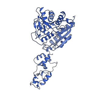 33348_7xoh_A_v1-1
Cystathionine beta-synthase of Mycobacterium tuberculosis in the presence of S-adenosylmethionine.