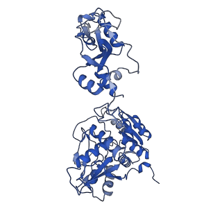 33348_7xoh_B_v1-1
Cystathionine beta-synthase of Mycobacterium tuberculosis in the presence of S-adenosylmethionine.