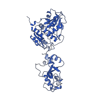33348_7xoh_C_v1-1
Cystathionine beta-synthase of Mycobacterium tuberculosis in the presence of S-adenosylmethionine.