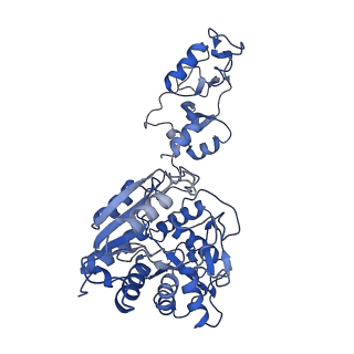 33348_7xoh_D_v1-1
Cystathionine beta-synthase of Mycobacterium tuberculosis in the presence of S-adenosylmethionine.